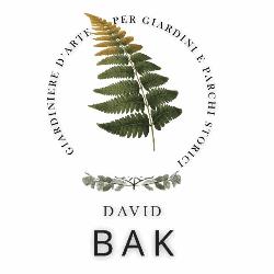 David Bak