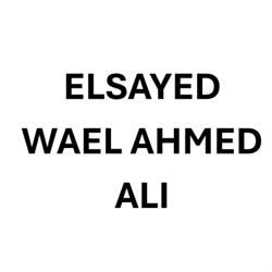 Elsayed Wael Ahmed Ali