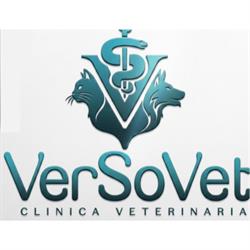 Versovet Clinica  Veterinaria