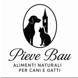 Pieve Bau
