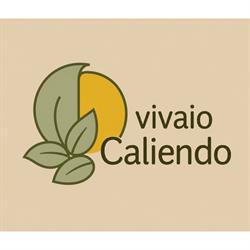 Vivaio Caliendo