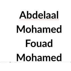 Ditta Abdelaal Mohamed Fouad Mohamed