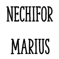 Nechifor Marius