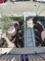 realizzazione giardino a bassa manutenzione