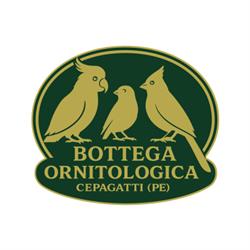 Bottega Ornitologica