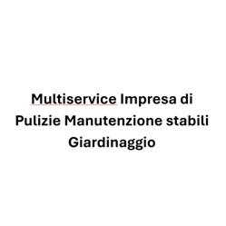 Multiservice Impresa di Pulizie Manutenzione stabili Giardinaggio