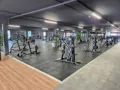 Palestra 4