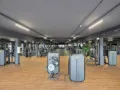 Palestra 1