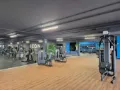 Palestra 2