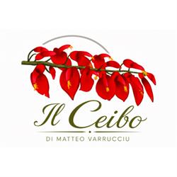 Il Ceibo di Varrucciu Matteo