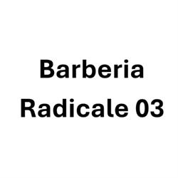 Barberia Radicale 03