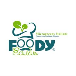 FOODY EDULIS