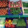 LE VERDURE FRESCHE