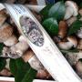 porcini di Borgotaro..