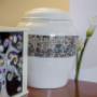 Gallery Professionale