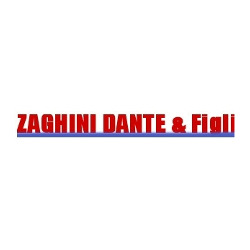 Zaghini Dante & Figli di Zaghini Fabio & C. Snc - FAAC