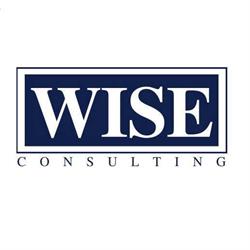 Wise SRL