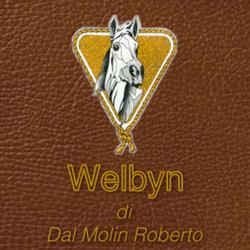 Welbyn Di Dal Molin Roberto