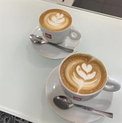 Caffetteria Tabaccheria Massanelli PLOOM STORE