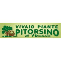 Vivaio Il Pitorsino