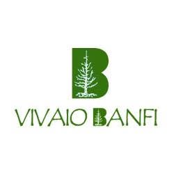 Vivaio Banfi Di Banfi Lodovico & C. (S.n.c.)