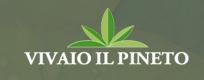 Vivaio Il Pineto SRL