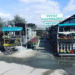 Vivai Valtolina