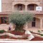 Progettazione Aree Verdi e Giardini