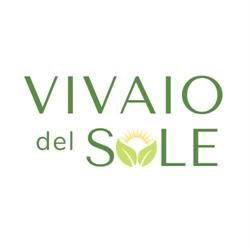 Vivaio Del Sole Di Bassetti Luca
