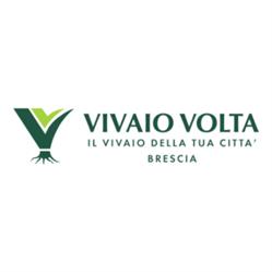 Vivaio Volta