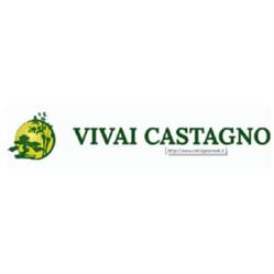 Vivai Castagno