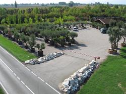 Vivai Piante Az. Agricola Previdi Guido
