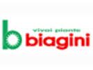 Vivai Piante Biagini S.S. Di Antonio Biagini & Figli