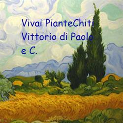 Vivai Piante Chiti Vittorio Di Chiti Paolo e Massimo SS