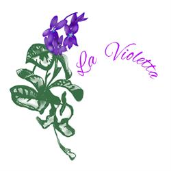 La Violetta Fiori e Piante Li Punti