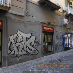 Vinfer Sas