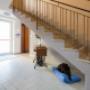 Gallery Professionale