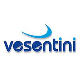 Vesentini