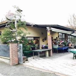 Verdelli Piera