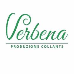 Verbena
