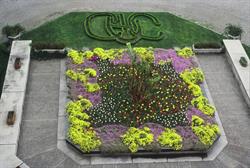VANONI GIARDINAGGIO SRL