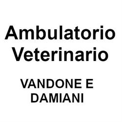 Ambulatorio Veterinario Vercelli