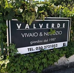 Valverde