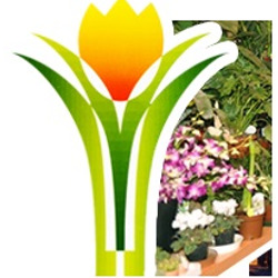 Piante e Fiori Valletti Mario di Seghetta Paola