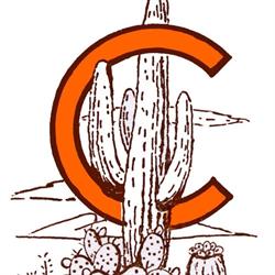 Vallecactus Mattia