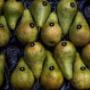 Frutta e Verdura