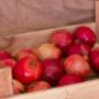 Frutta e Verdura