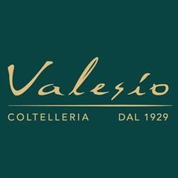Valesio Eugenio Di Valesio Eugenio & C. (S.n.c.)