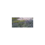 biopiscina