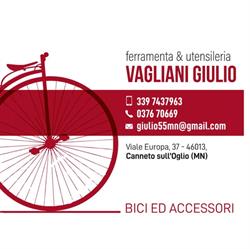 Vagliani Giulio